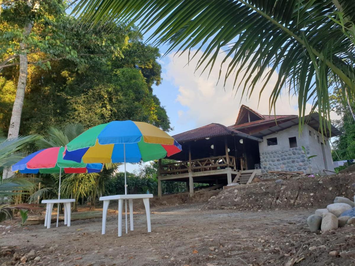 Puerto Misahuallí Playa Tortuga 아파트 외부 사진