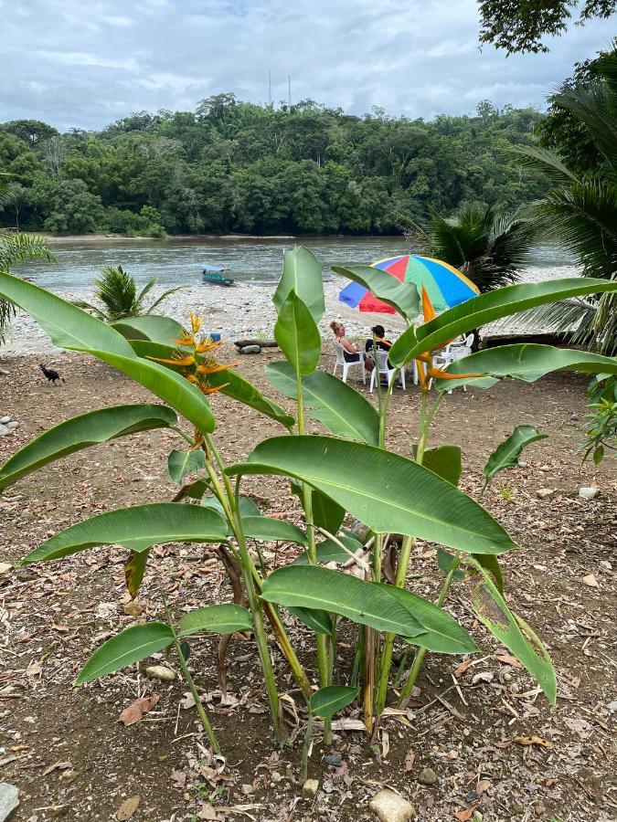 Puerto Misahuallí Playa Tortuga 아파트 외부 사진