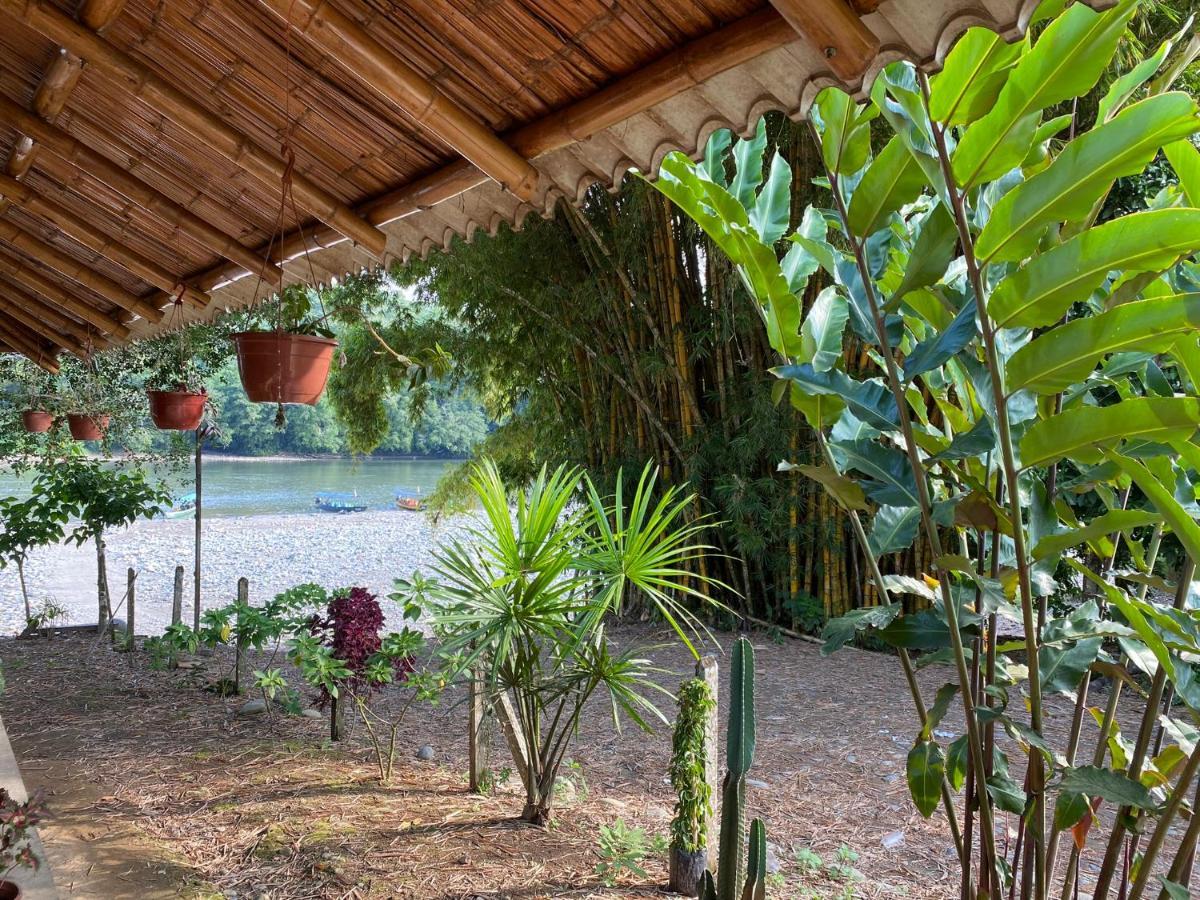 Puerto Misahuallí Playa Tortuga 아파트 외부 사진