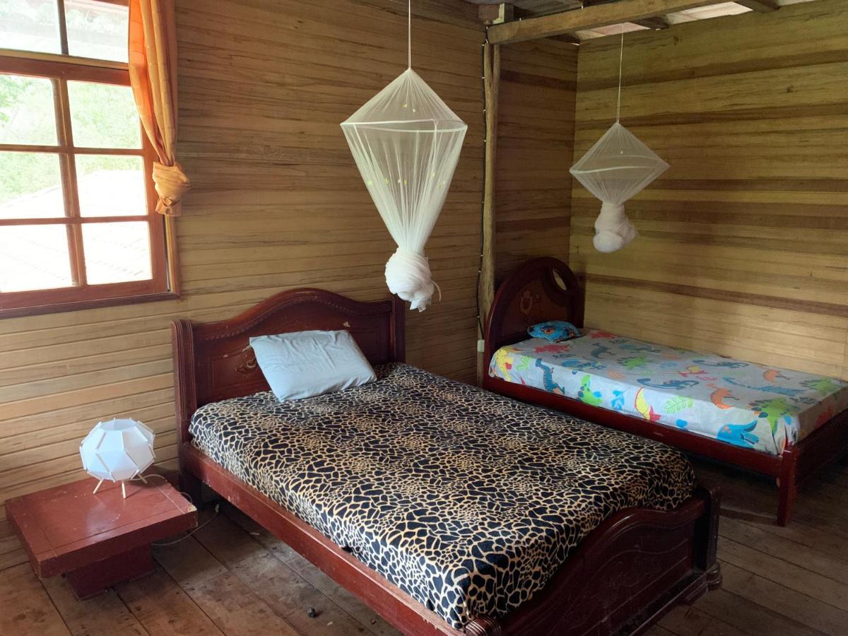 Puerto Misahuallí Playa Tortuga 아파트 외부 사진